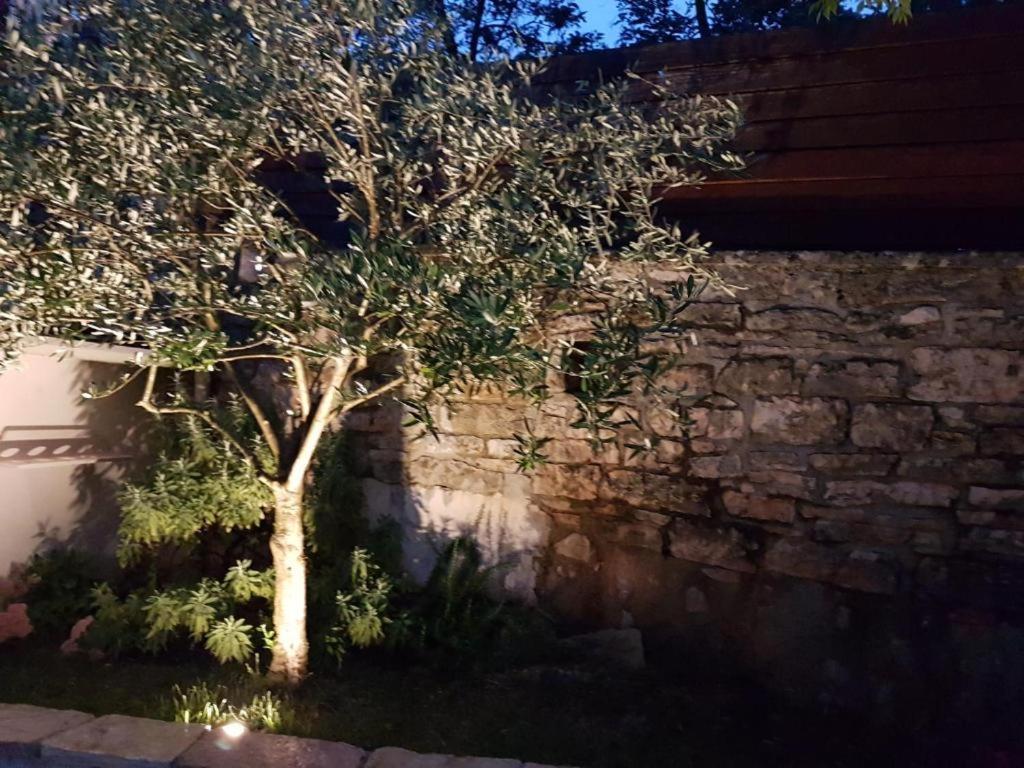 Haus Delma Brajkovici (Pazin) Exterior foto